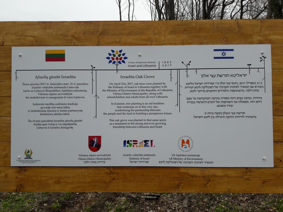 Lietuvos ir Izraelio draugystei įprasminti Vilniaus rajone pasodinta ąžuolų giraitė „Izraelita”