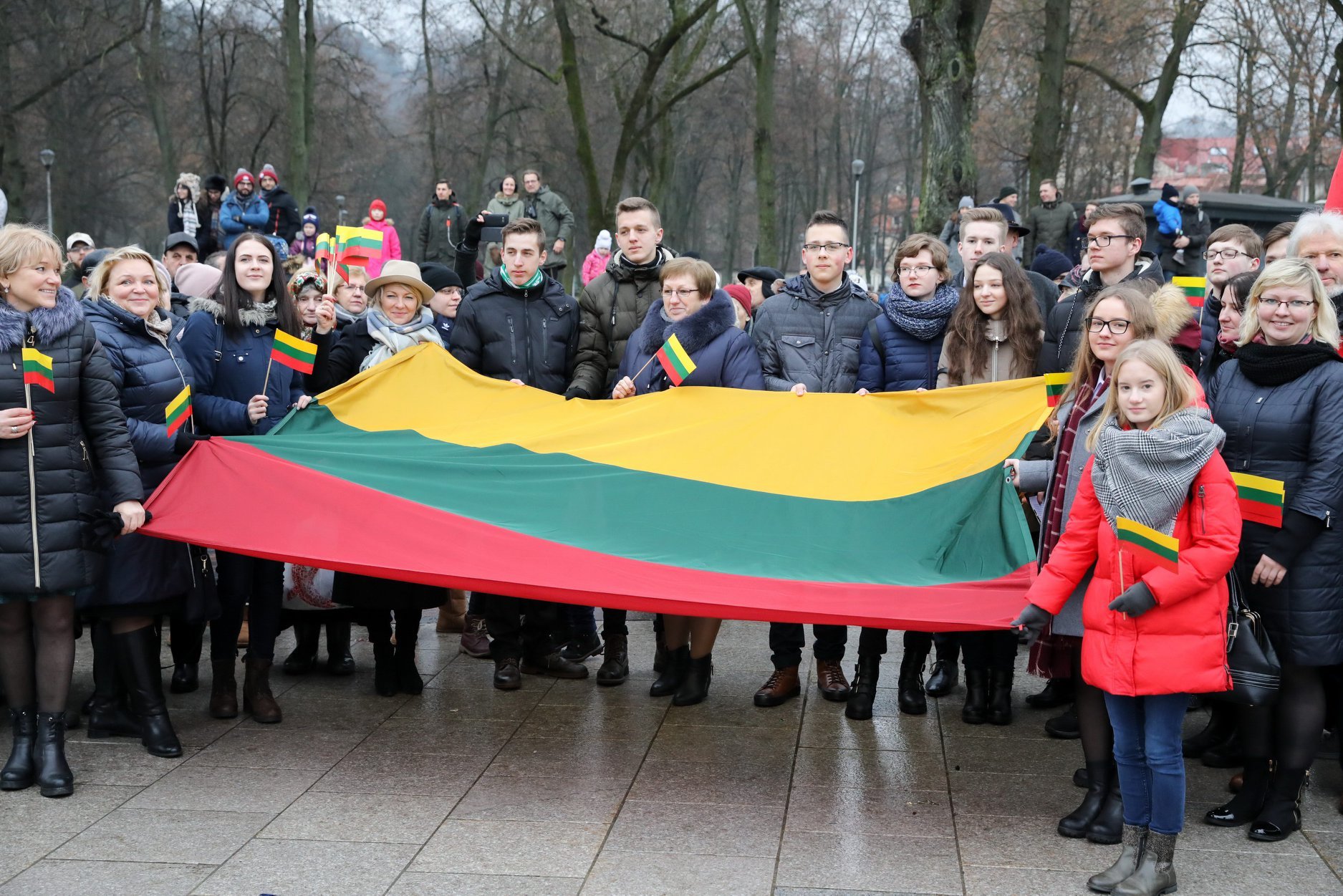 The Lithuanian flag of 2018 was raised in the tower of Gediminas Castle