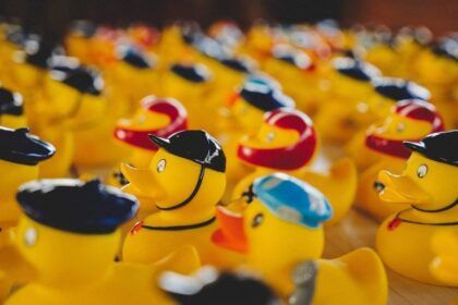 Duck race