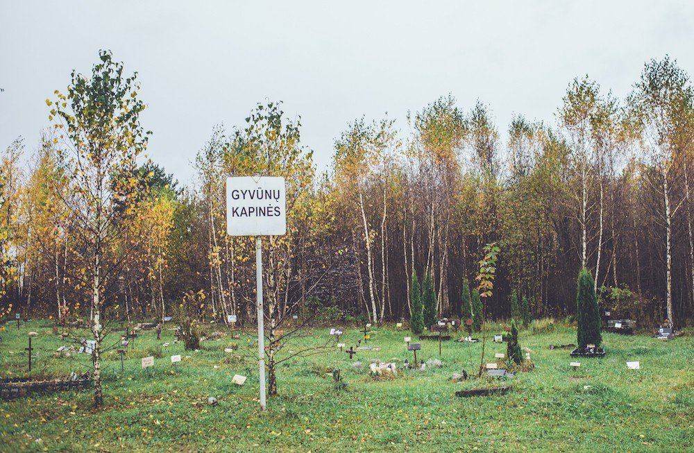 Gyvūnėlių kapinės