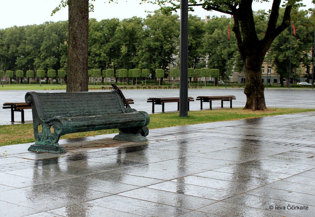 Memorial bench in memory of Vytautas Kernagis