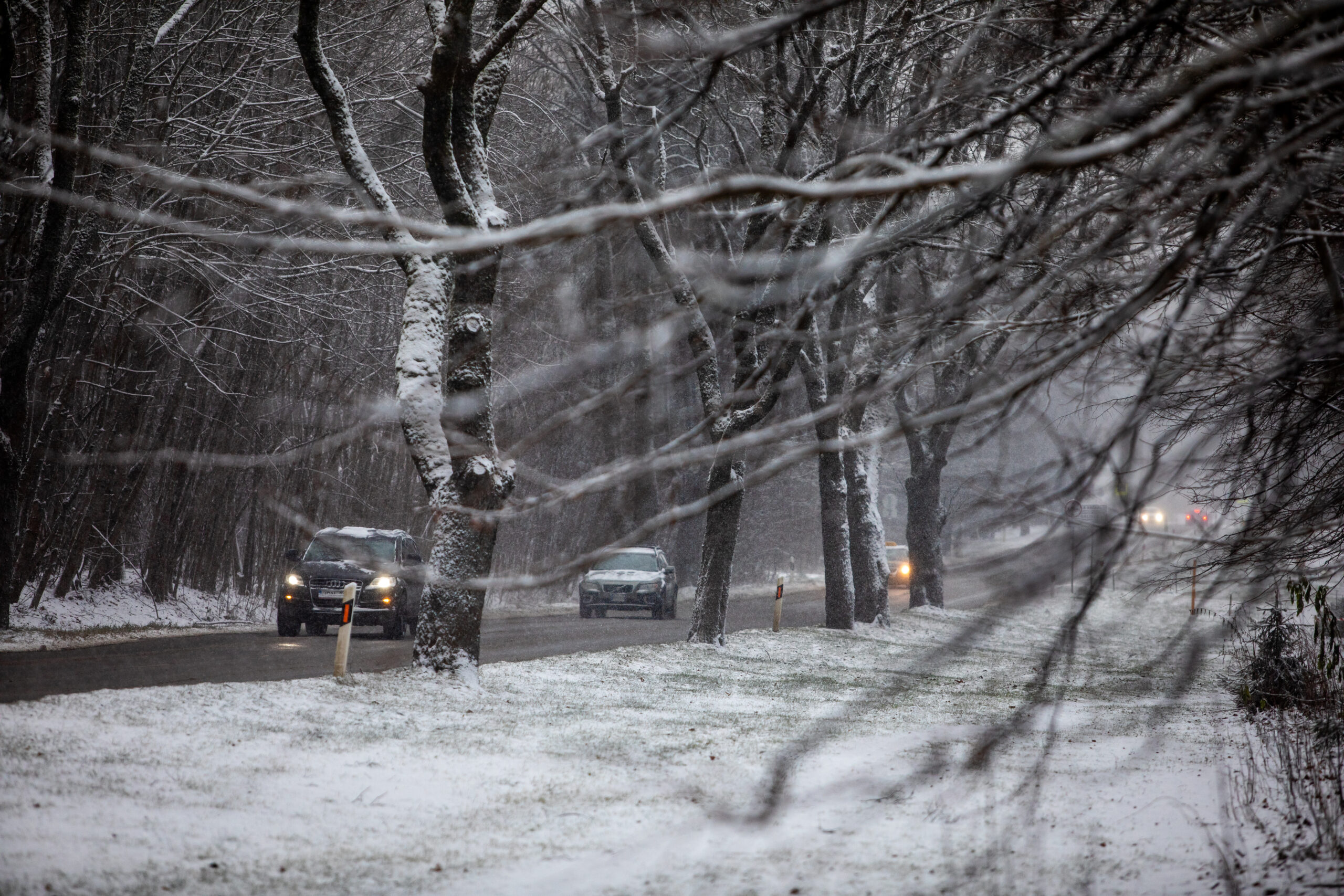 2021-11-23, Pirmas sniegas Vilniuje. 2021 m. Lapkričio 23 d.